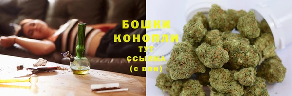 соль ск Алзамай