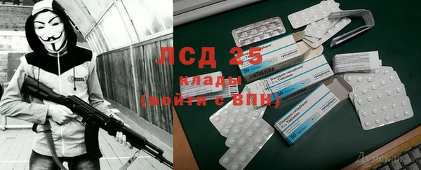 соль ск Алзамай