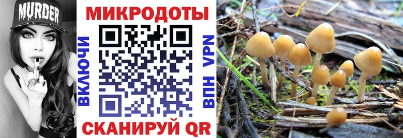 Галлюциногенные грибы Psilocybine cubensis  Игарка 